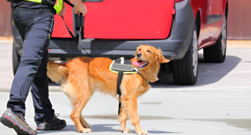 Gesuita Scomparso nel 2013: Nuovo Ritrovamento Vicino a Raqqa? Dubbi e Incertezze